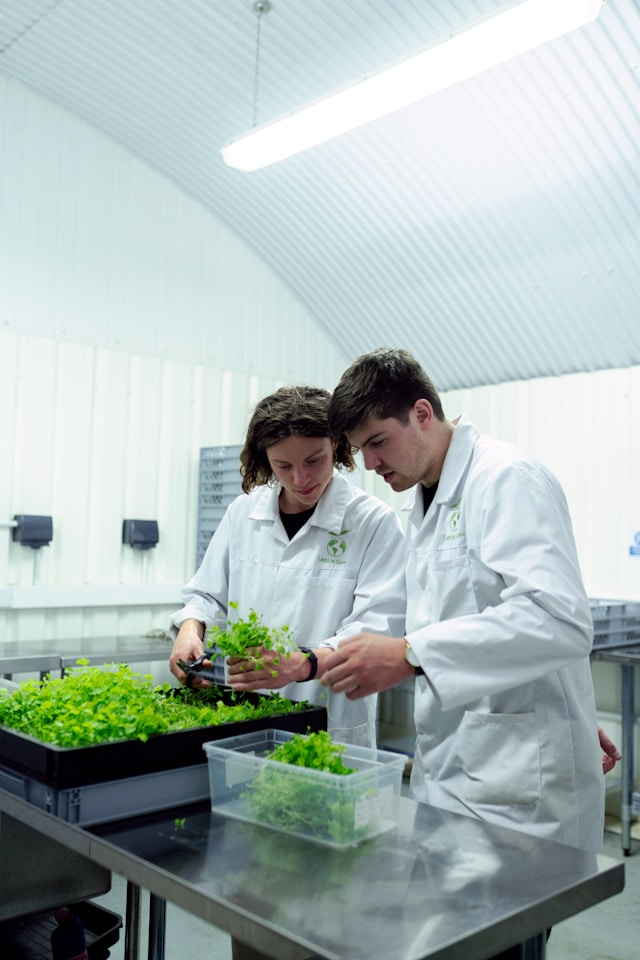 Research and Innovation